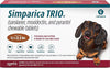 Simparica Trio Dog 11-22 LBS Caramel 6 Month Chew Tab (Carton of 5)