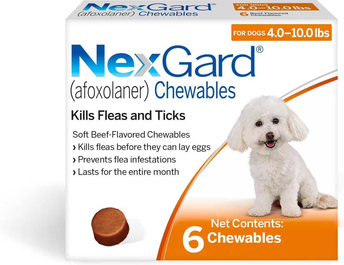 NexGard Dog Chew Tabs, 4-10 Lbs, Orange, 6 Dose (Single)