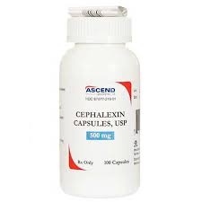 Cephalexin 500 MG 100 CT Caps (Ascend)