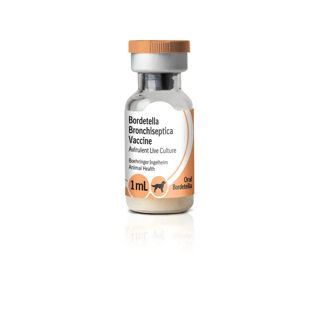 BI Recombitek Oral Bordetella (25 x 1 Dose)