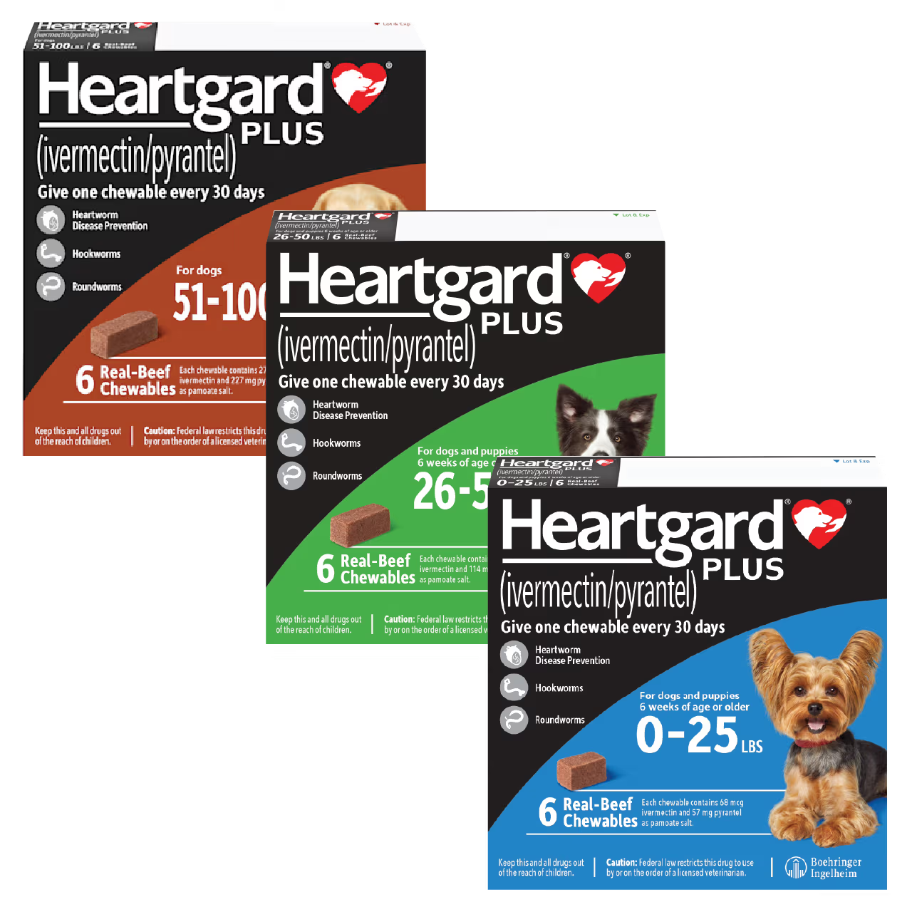 Heartgard 6 Dose Clinic Pack