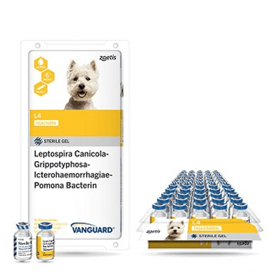 Leptospirosis Vaccine Dapp Dog Vaccine Symptoms Lepto Shot For