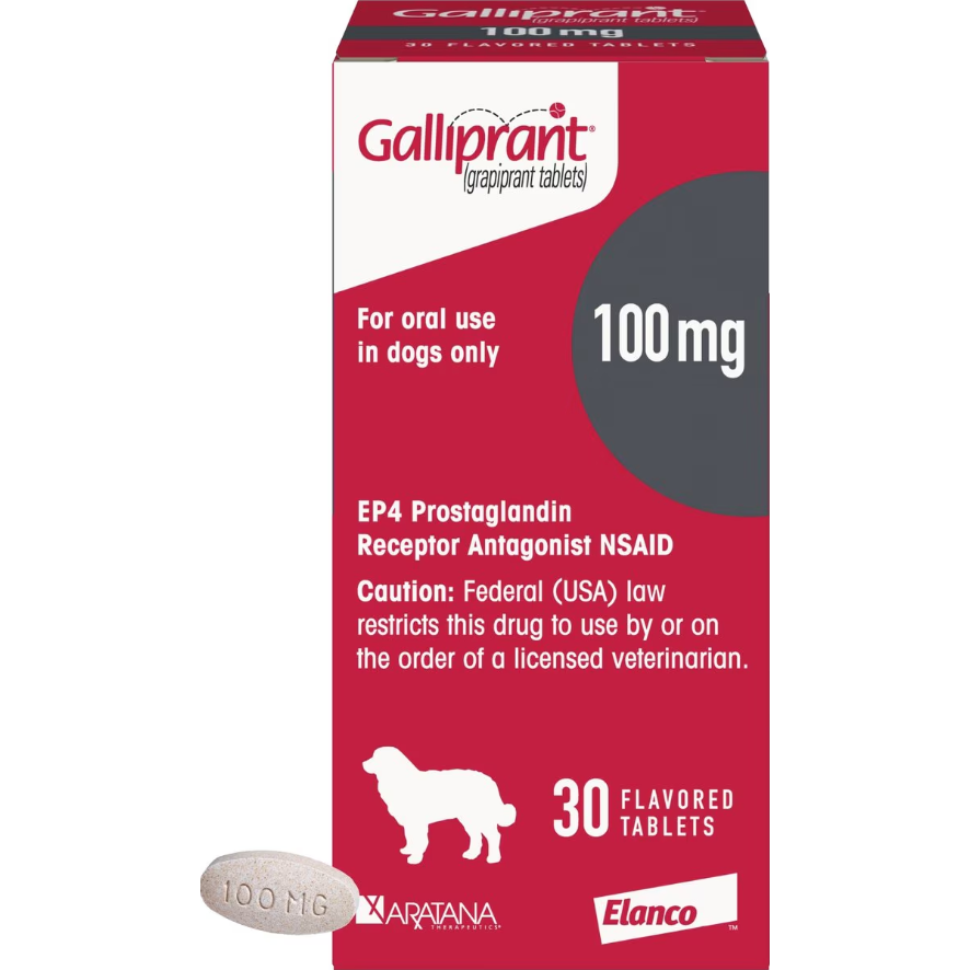 Galliprant Tabs for Dogs, 100-mg, 30 Tablets, Gray