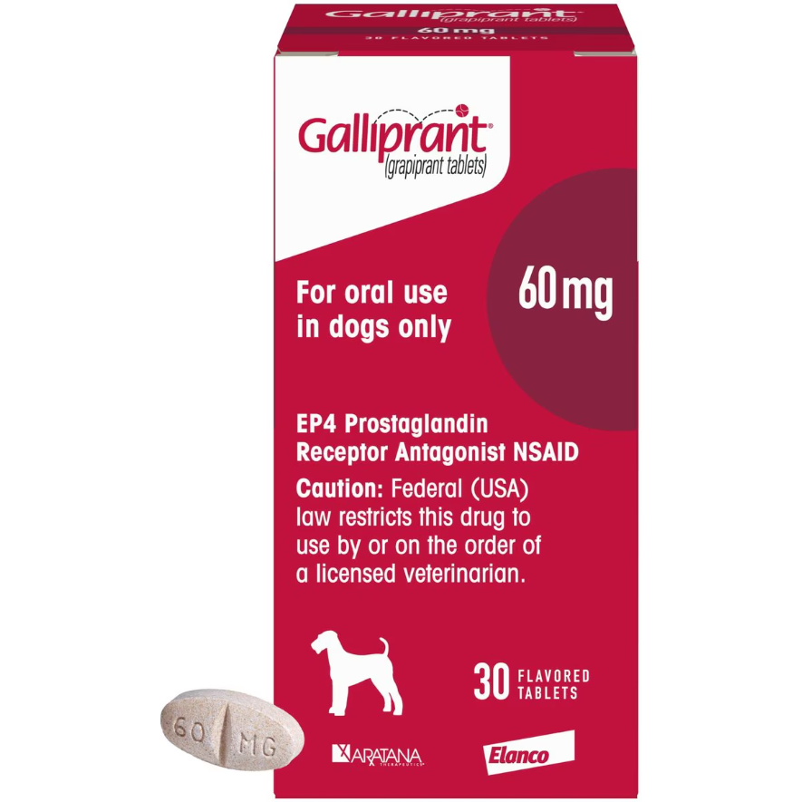 Galliprant Tabs for Dogs, 60-mg, 30 Tablets, Maroon