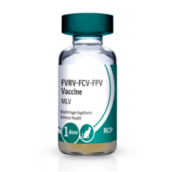 B.I. Purevax Feline 3 (RCP) .5ML (25x1 Tray)