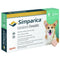 Simparica Dog 22.1-44 LBS Blue 6 Month CHEW TAB (Carton of 10)