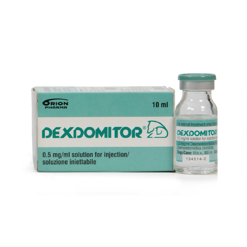 Dexdomitor (Dexmedetomidine) Injection