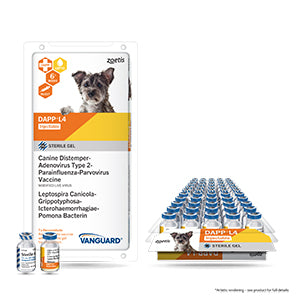 Zoetis Vanguard DAPP/L4 (25x1 Tray)