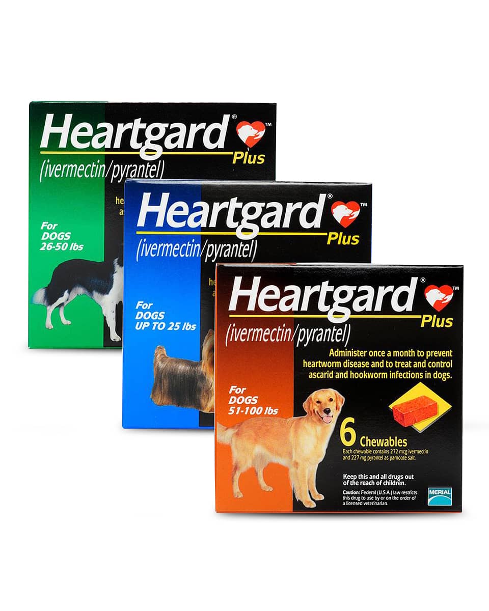 Heartworm