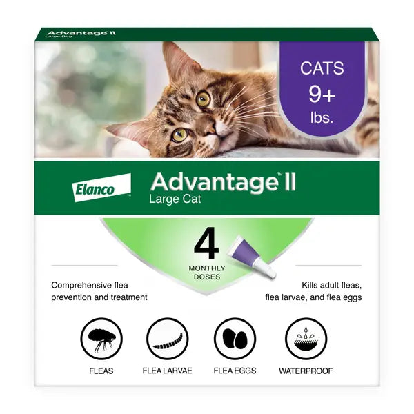 Advantage II Small Cat 5-9 lbs Orange 4 Tubes (Carton of 6)