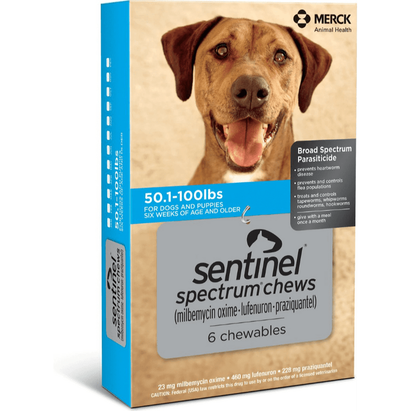Sentinel Spectrum Chews, 50.1-100 lbs, 6 Dose (Carton of 5)