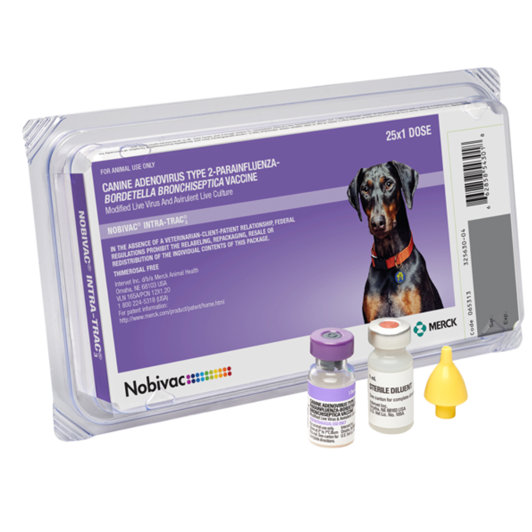 Merck Nobivac Intra-Trac3 Bordetella (25x1 Tray)