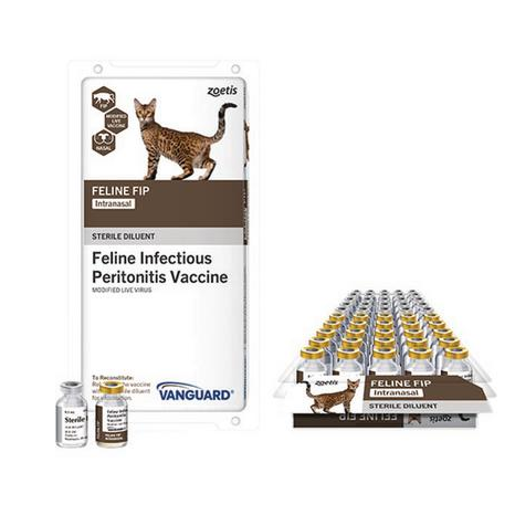 Zoetis Vanguard Feline FIP Intranasal (25x1 Tray)
