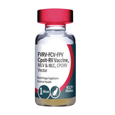 B.I. Purevax Feline 4 + Rabies .5ML 1 Dose x 25