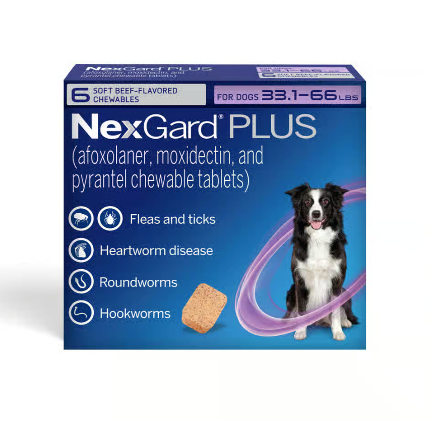 NexGard Plus Chew Tabs for Dogs, 33 to 66lb, Purple, 6 Dose (Carton of 10)
