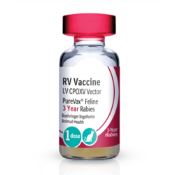 B.I. Purevax Feline Rabies 3 YR (rRabies) .5ML 1 Dose x 10 – PromoVet