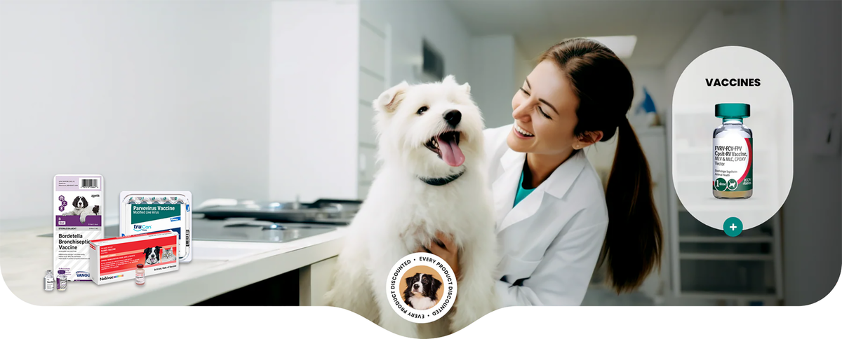 PromoVet | Where Independent Veterinary Clinics Save — and Thrive
