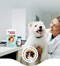PromoVet | Where Independent Veterinary Clinics Save — and Thrive