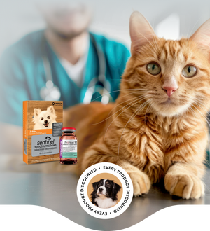 PromoVet | Where Independent Veterinary Clinics Save — and Thrive