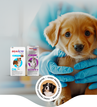 PromoVet | Where Independent Veterinary Clinics Save — and Thrive