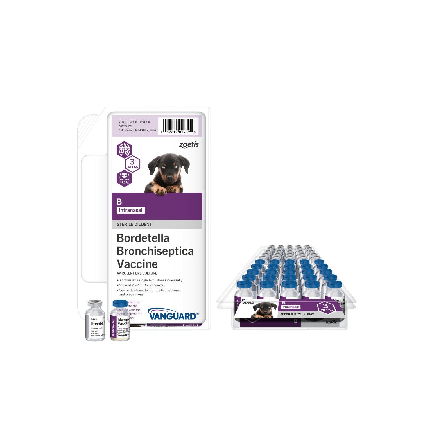 Zoetis Vanguard B Intranasal Bordetella Bronchi (25x1 Tray)