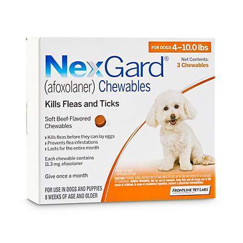 NexGard Dog 4-10 LBS Orange 6 Month CHEW TAB (Carton of 10)